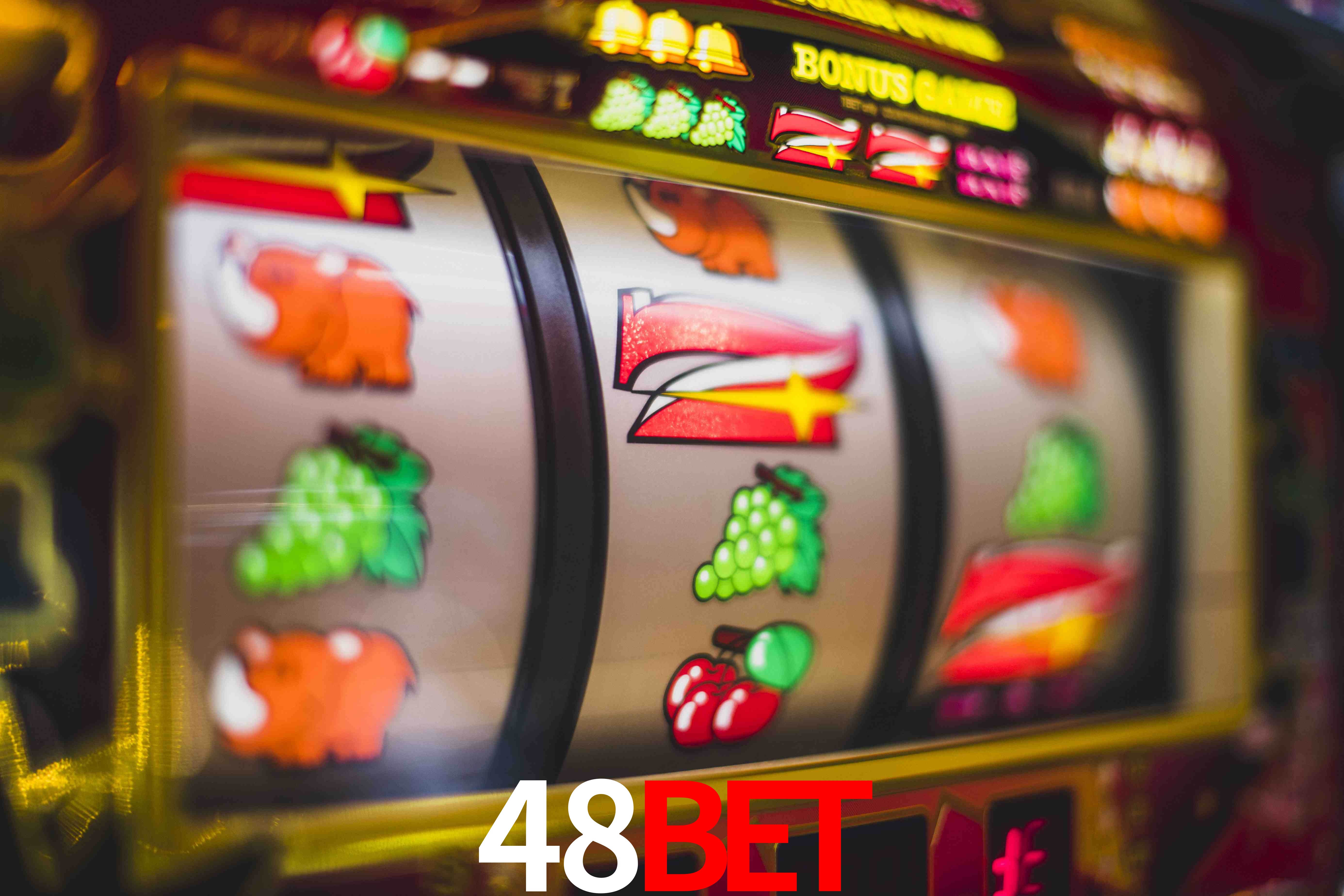 Experiência VIP 48bet