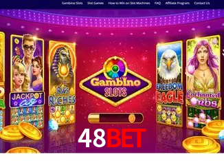 48bet Rio de Janeiro - Bonus Terms